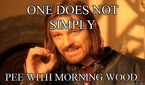 One Does Not Simply Pee with morning wood.  Boromir