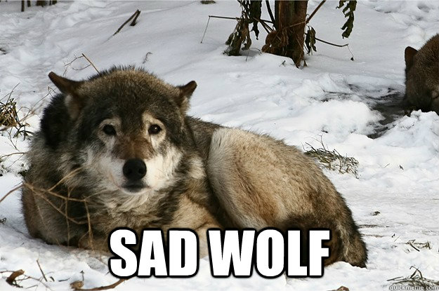  sad wolf  Sad Wolf