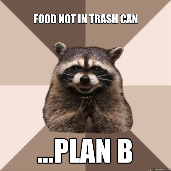 Food not in trash can ...plan b  Evil Plotting Raccoon