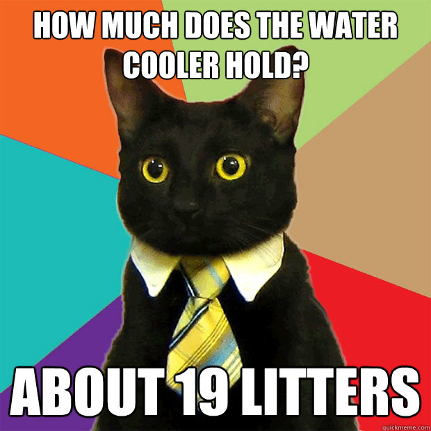 how much does the water cooler hold? About 19 litters  Business Cat
