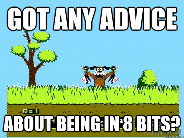 got any advice about being in 8 bits? - got any advice about being in 8 bits?  Duck Hunt