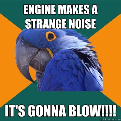Engine makes a strange noise it's gonna blow!!!!  Paranoid Parrot