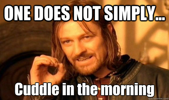 ONE DOES NOT SIMPLY... Cuddle in the morning  