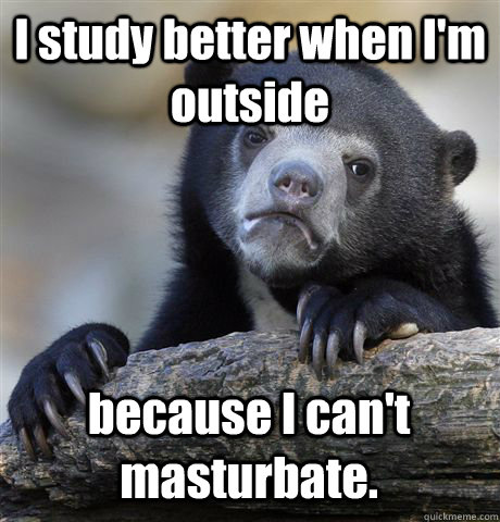 I study better when I'm outside because I can't masturbate.  Confession Bear