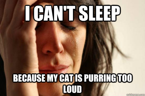 I can't sleep  because my cat is purring too loud   First World Problems