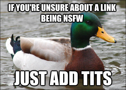 If you're unsure about a link being NSFW Just add tits  - If you're unsure about a link being NSFW Just add tits   Actual Advice Mallard