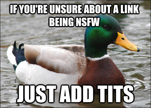 If you're unsure about a link being NSFW Just add tits   Actual Advice Mallard