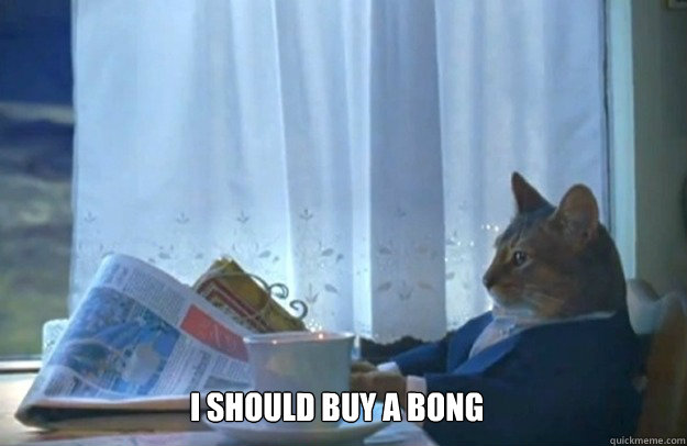 I should buy a Bong  Sophisticated Cat