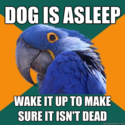 Dog is asleep Wake it up to make sure it isn't dead  Paranoid Parrot