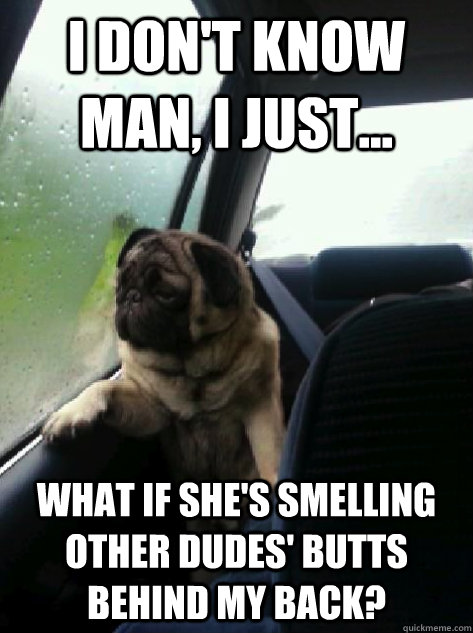 I don't know man, I just... What if she's smelling other dudes' butts behind my back? - I don't know man, I just... What if she's smelling other dudes' butts behind my back?  Introspective Pug