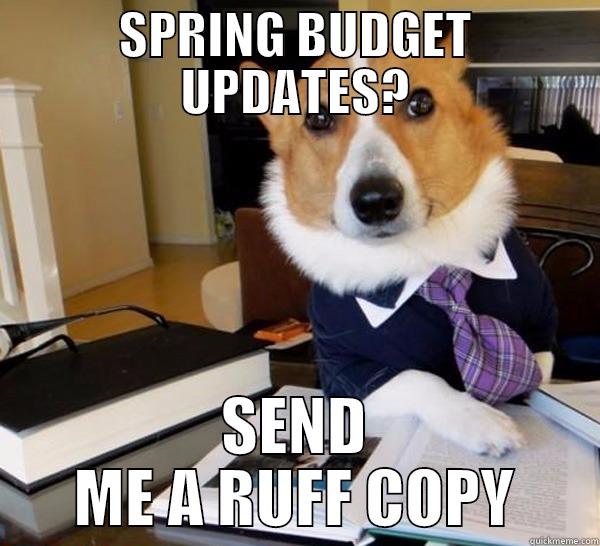 BUdget updates - SPRING BUDGET UPDATES? SEND ME A RUFF COPY Lawyer Dog