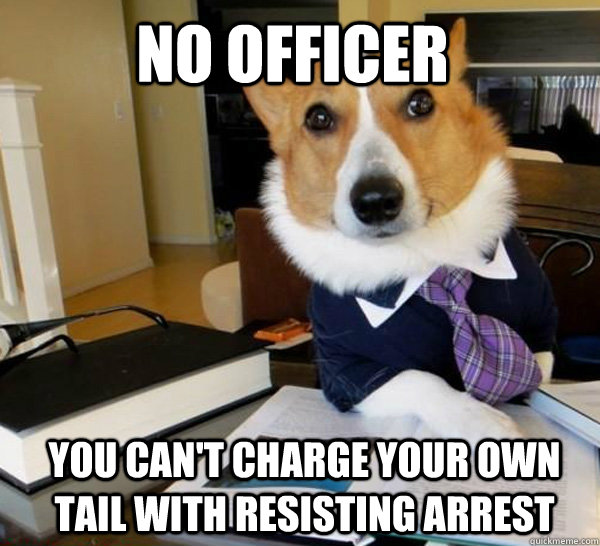 No officer You can't charge your own tail with resisting arrest  Lawyer Dog