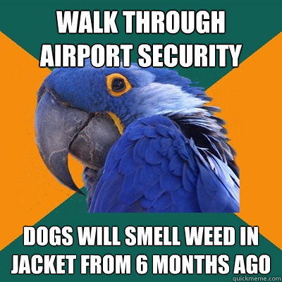 walk through airport security dogs will smell weed in jacket from 6 months ago  Paranoid Parrot