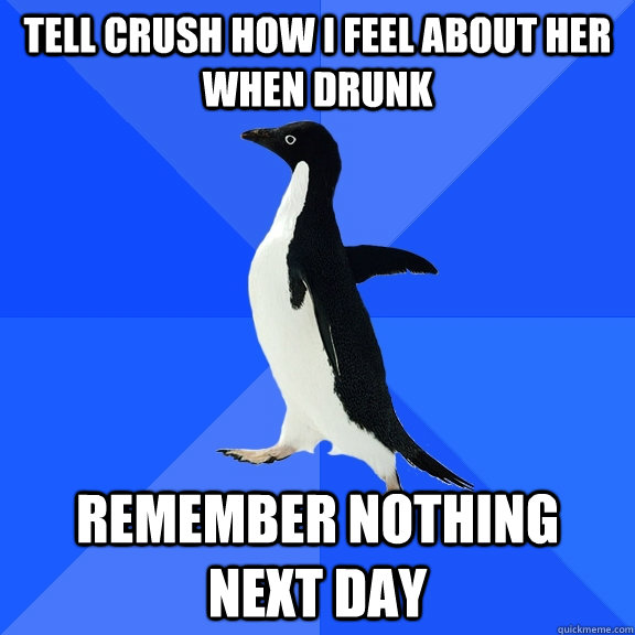 Tell crush how i feel about her when drunk remember nothing next day  Socially Awkward Penguin