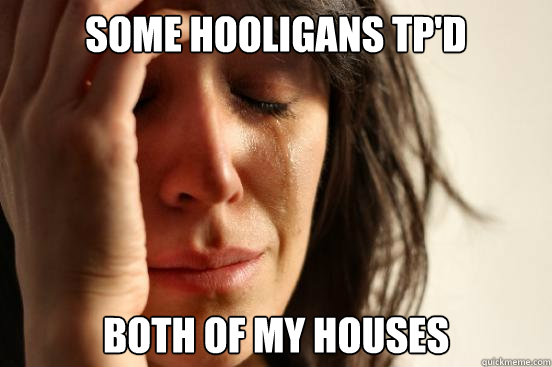 Some hooligans TP'd both of my houses  First World Problems