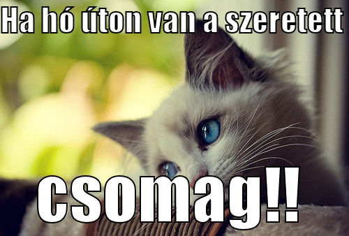 HA HÓ ÚTON VAN A SZERETETT CSOMAG!! First World Problems Cat