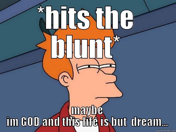 *HITS THE BLUNT* MAYBE IM GOD AND THIS LIFE IS BUT  DREAM... Futurama Fry