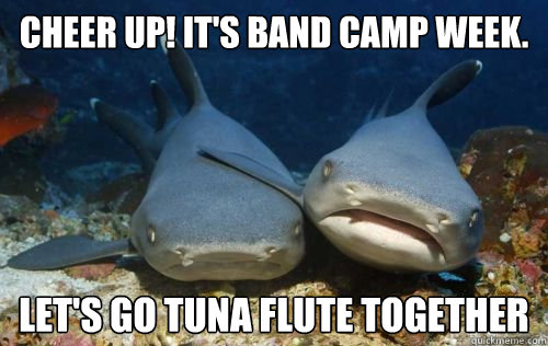 Cheer up! It's band camp week. let's go tuna flute together  Compassionate Shark Friend