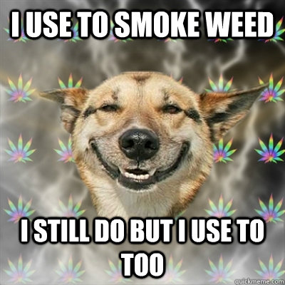 i use to smoke weed i still do but i use to too  Stoner Dog
