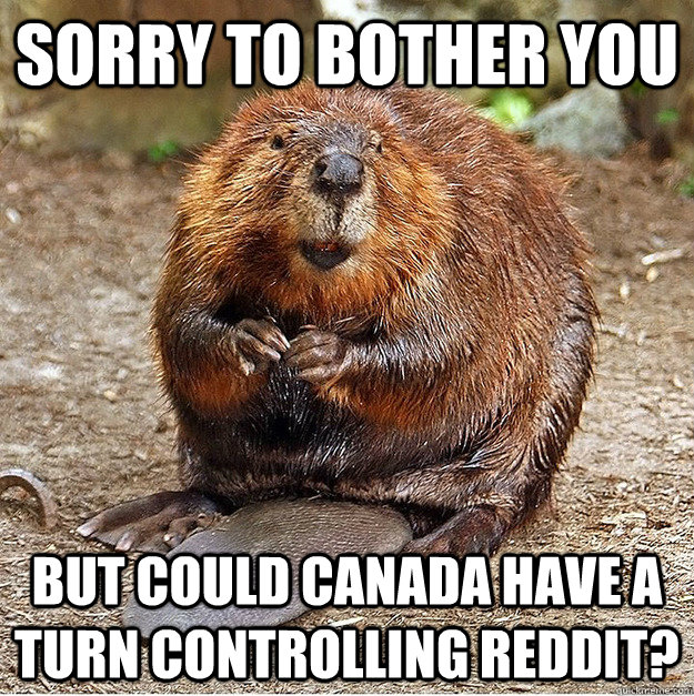 Sorry to bother you But could Canada have a turn controlling Reddit? - Sorry to bother you But could Canada have a turn controlling Reddit?  Apologetic beaver