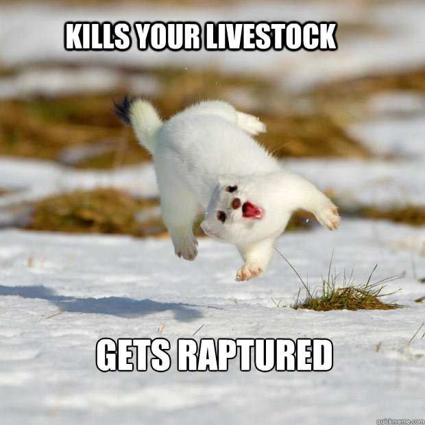 Kills your livestock Gets raptured - Kills your livestock Gets raptured  Scumbag Stoat