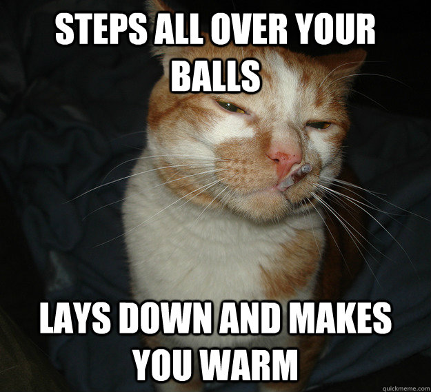 Steps all over your balls lays down and makes you warm  Good Guy Cat