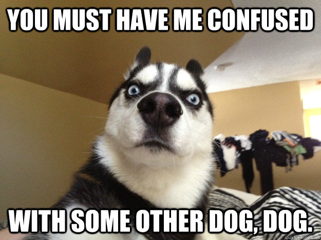 You must have me confused With some other dog, dog.  