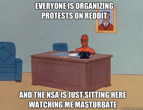 Everyone is organizing protests on reddit And the NSA is just sitting here watching me masturbate  masturbating spiderman