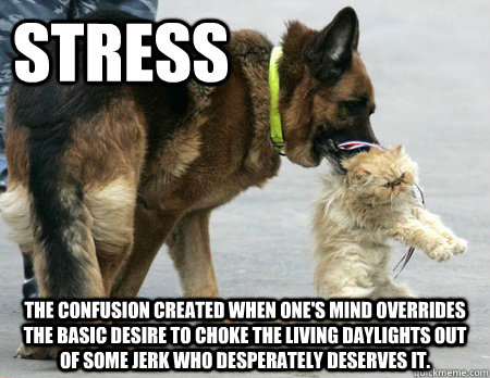 STRESS The confusion created when one's mind overrides the basic desire to choke the living daylights out of some jerk who desperately deserves it.  Stress