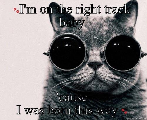 Gaga kitteh -  'CAUSE I WAS BORN THIS WAY  Misc