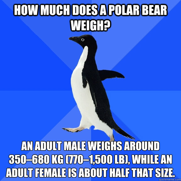 How much does a polar bear weigh? An adult male weighs around 350–680 kg (770–1,500 lb), while an adult female is about half that size.   Socially Awkward Penguin