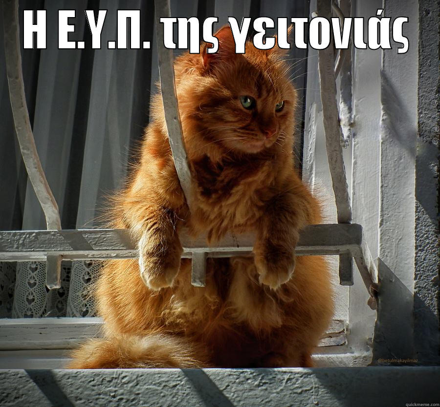 Η Ε.Υ.Π. ΤΗΣ ΓΕΙΤΟΝΙΆΣ  Misc