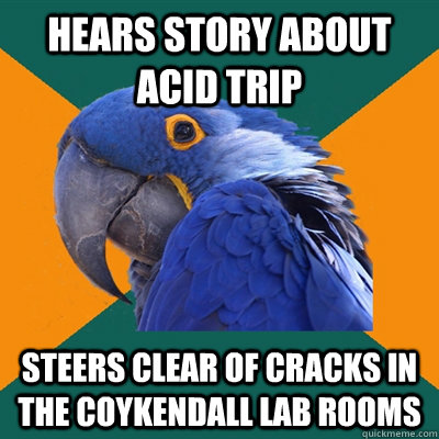 Hears story about acid trip Steers clear of cracks in the Coykendall lab rooms  Paranoid Parrot