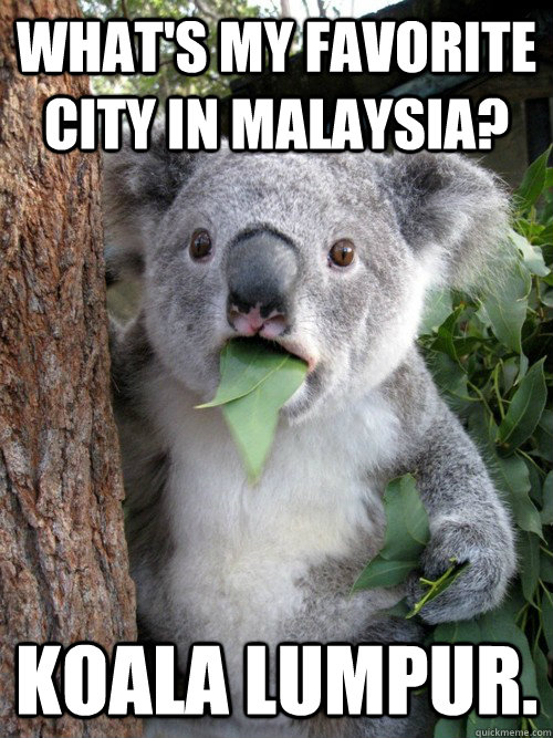 What's my favorite city in Malaysia? Koala Lumpur.  koala bear