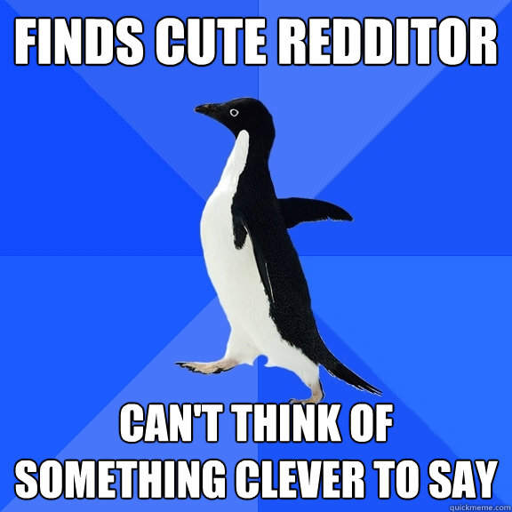 finds cute redditor can't think of something clever to say  Socially Awkward Penguin