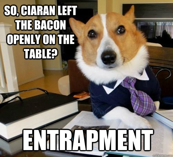 So, Ciaran left the bacon openly on the table? entrapment  Lawyer Dog