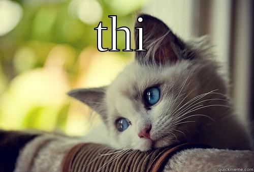 THI  First World Problems Cat