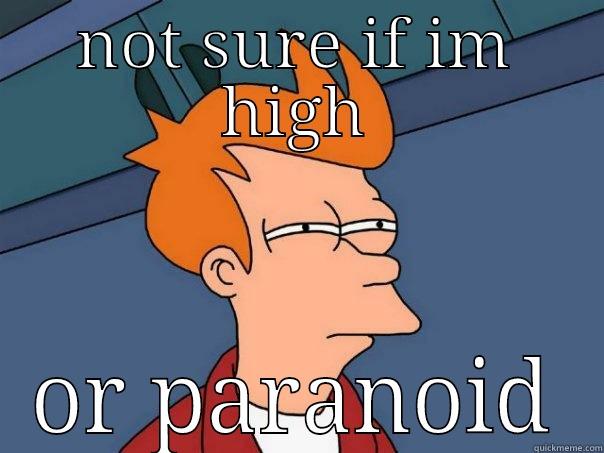NOT SURE IF IM HIGH OR PARANOID Futurama Fry