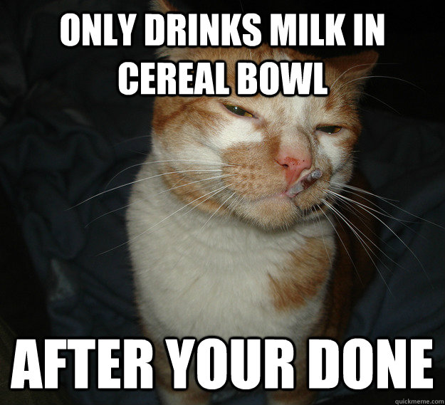 Only drinks milk in cereal bowl After your done  Cool Cat Craig