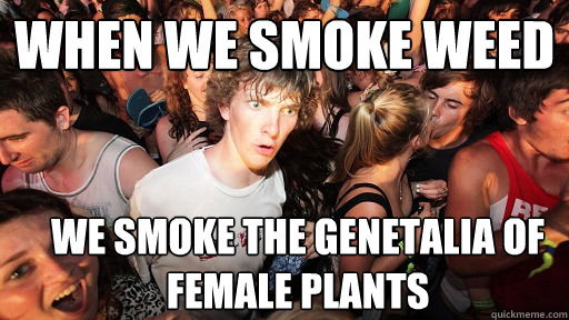 when we smoke weed we smoke the genetalia of female plants  Sudden Clarity Clarence