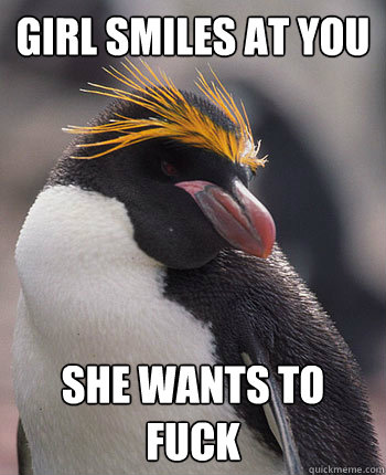 Girl smiles at you She wants to fuck - Girl smiles at you She wants to fuck  Socially Overconfident Penguin