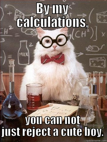 BY MY CALCULATIONS, YOU CAN NOT JUST REJECT A CUTE BOY. Chemistry Cat