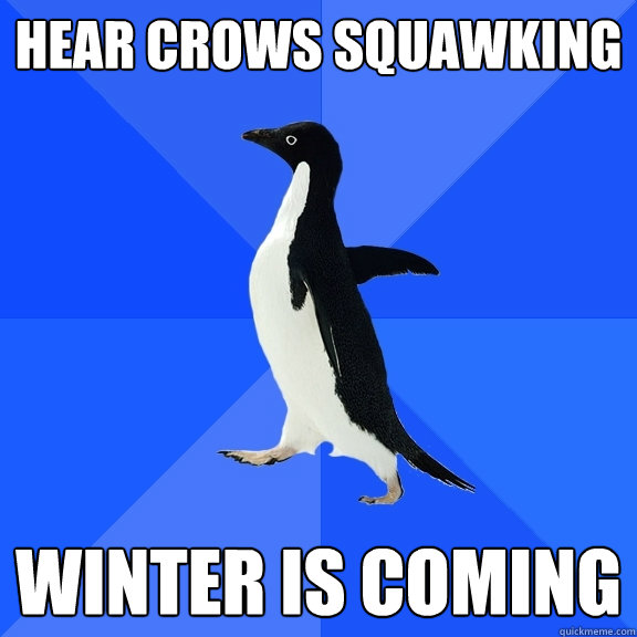 Hear Crows Squawking   Winter Is Coming  Socially Awkward Penguin
