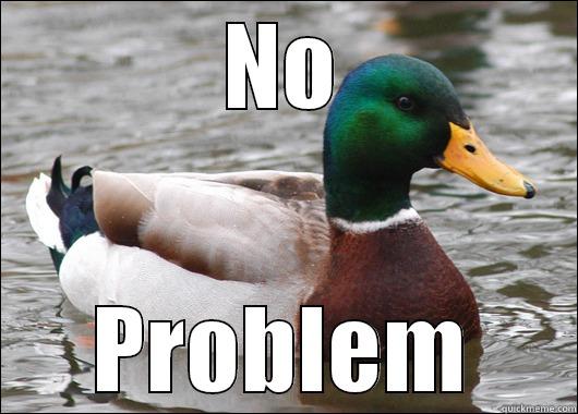 NO PROBLEM Actual Advice Mallard