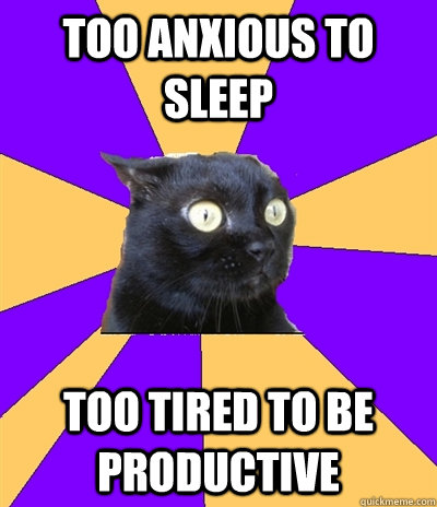 too anxious to sleep too tired to be productive - too anxious to sleep too tired to be productive  Anxiety Cat