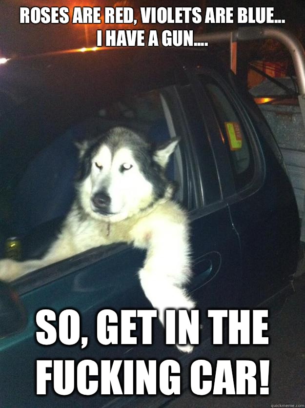 Roses are Red, Violets are Blue...
I have a gun.... So, get in the Fucking Car!  Mean Dog