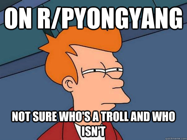 On r/pyongyang Not sure who's a troll and who isn't  Futurama Fry