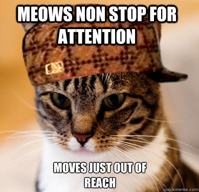 Meows non stop for attention Moves just out of reach  Scumbag Cat