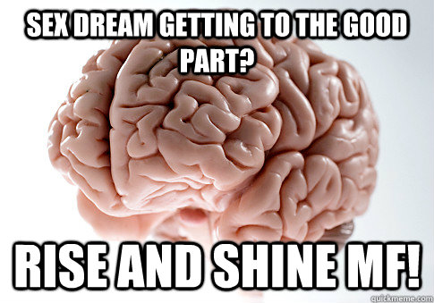 Sex dream getting to the good part? Rise and Shine mf!  Scumbag Brain