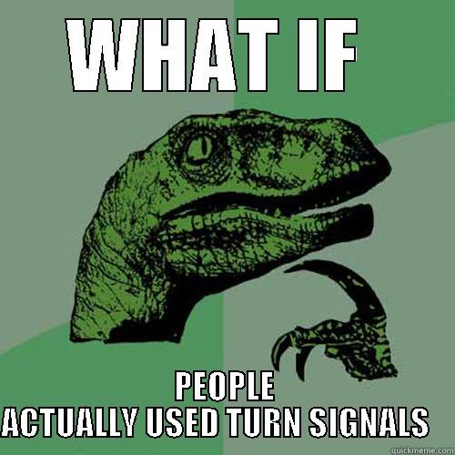 WHAT IF  PEOPLE ACTUALLY USED TURN SIGNALS    Philosoraptor